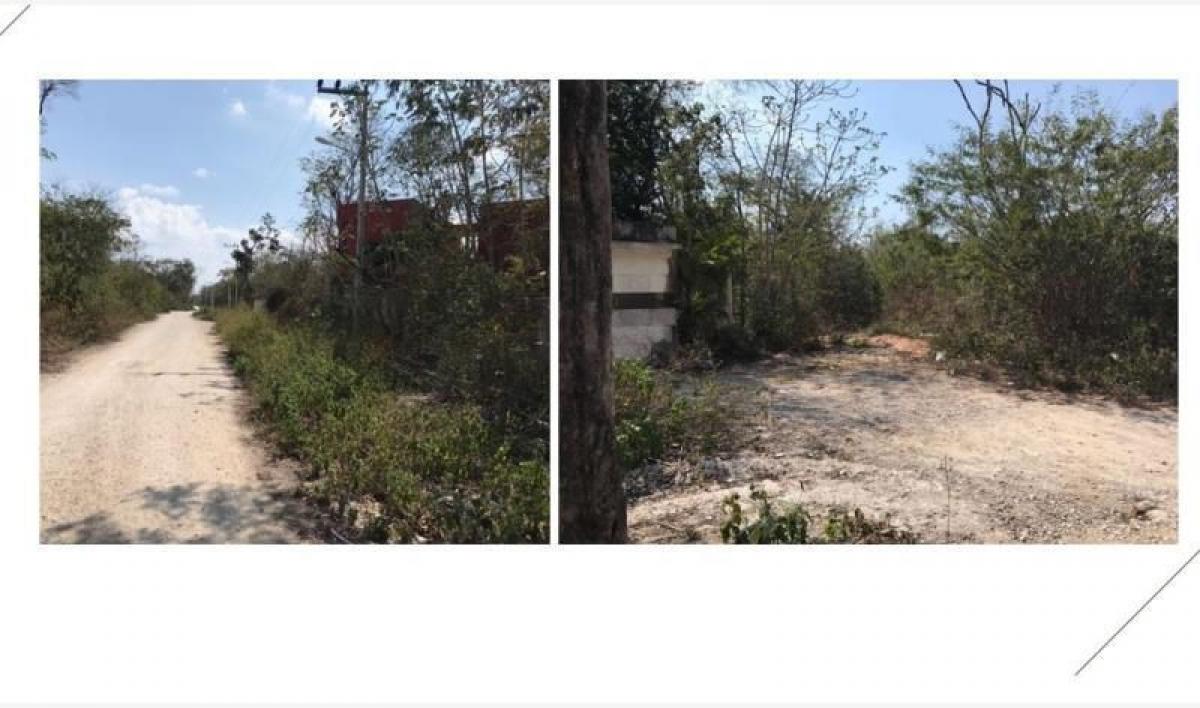 Picture of Residential Land For Sale in Quintana Roo, Quintana Roo, Mexico