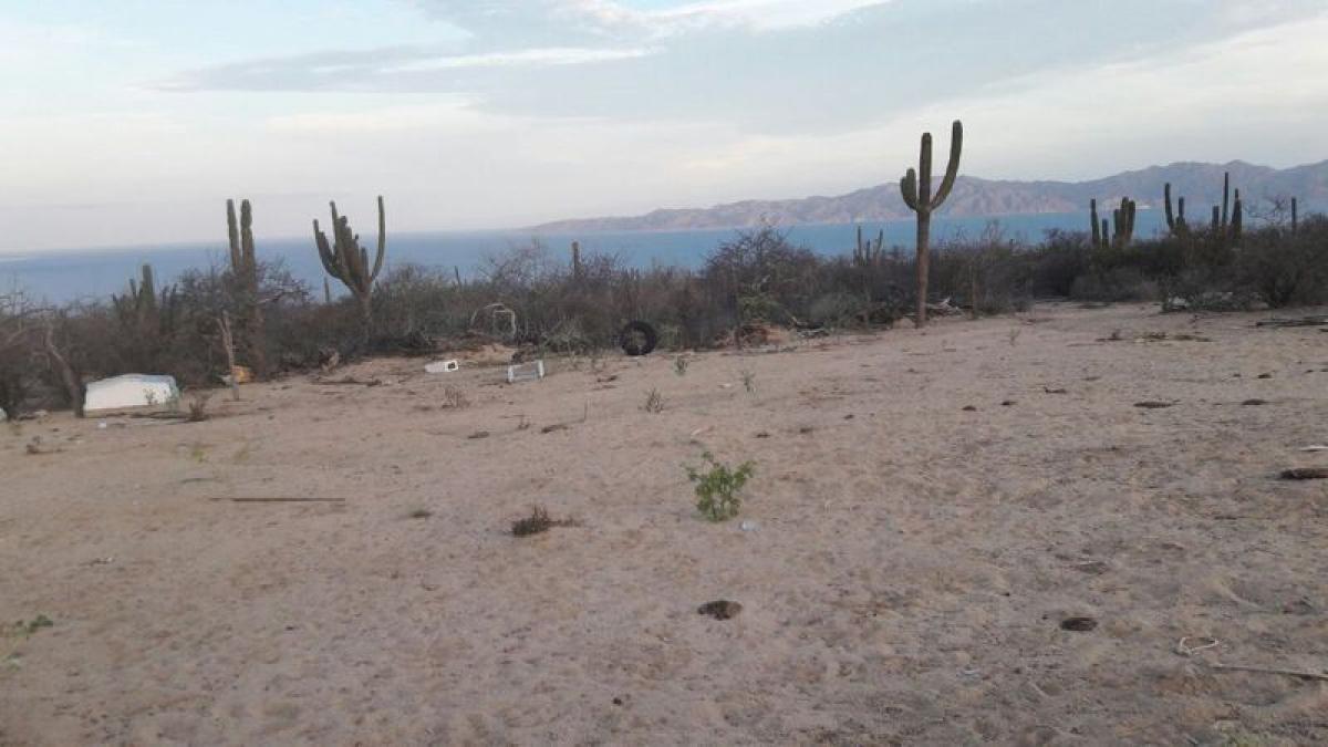 Picture of Residential Land For Sale in Baja California Sur, Baja California Sur, Mexico