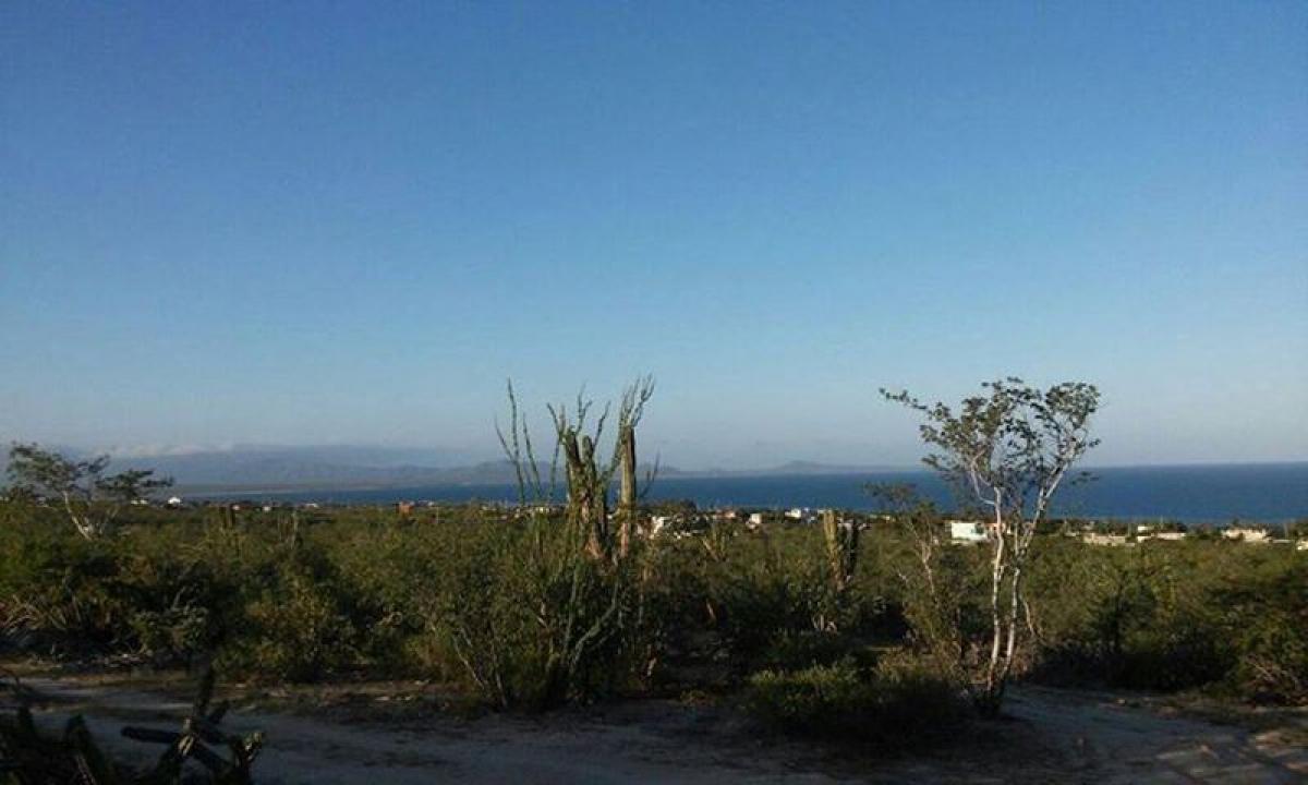 Picture of Residential Land For Sale in Baja California Sur, Baja California Sur, Mexico