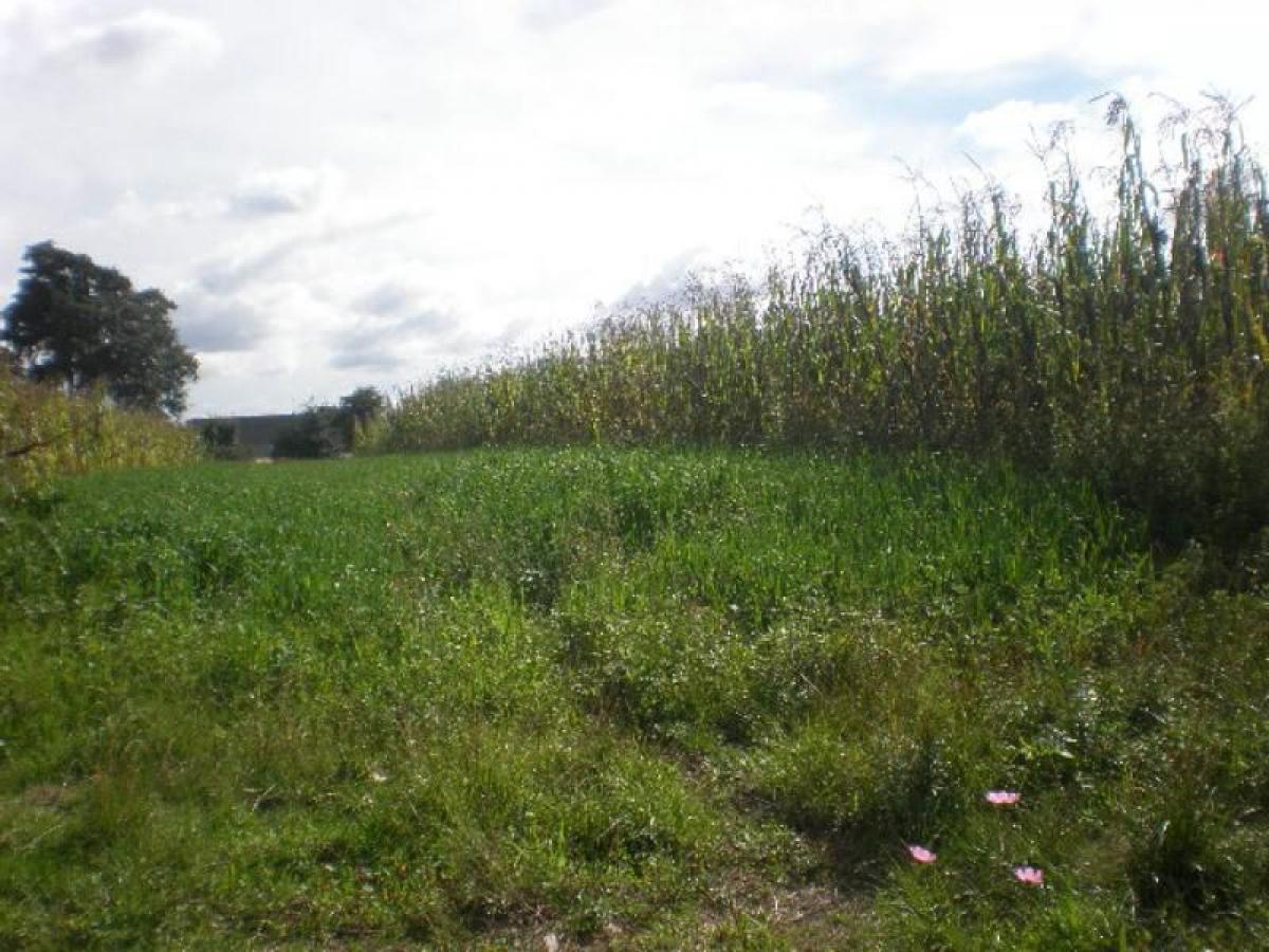 Picture of Residential Land For Sale in Puebla, Puebla, Mexico