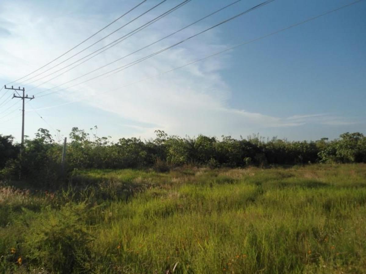 Picture of Residential Land For Sale in Tala, Jalisco, Mexico
