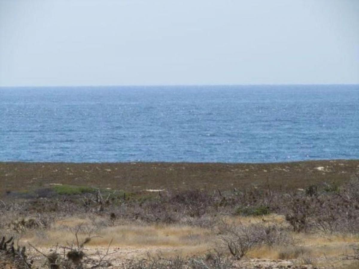 Picture of Residential Land For Sale in Baja California Sur, Baja California Sur, Mexico