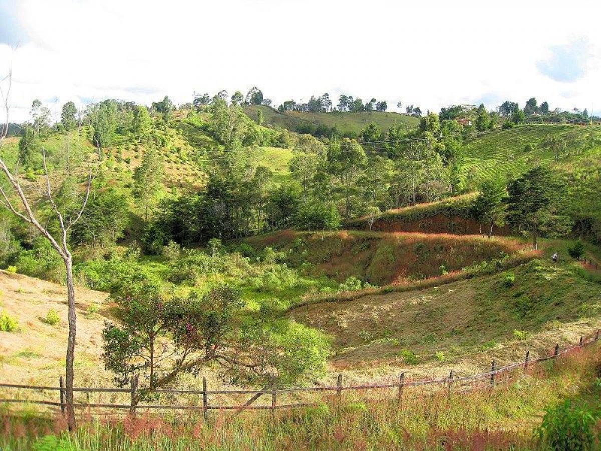 Picture of Residential Land For Sale in Antioquia, Antioquia, Colombia