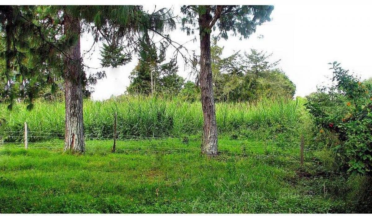 Picture of Residential Land For Sale in Antioquia, Antioquia, Colombia