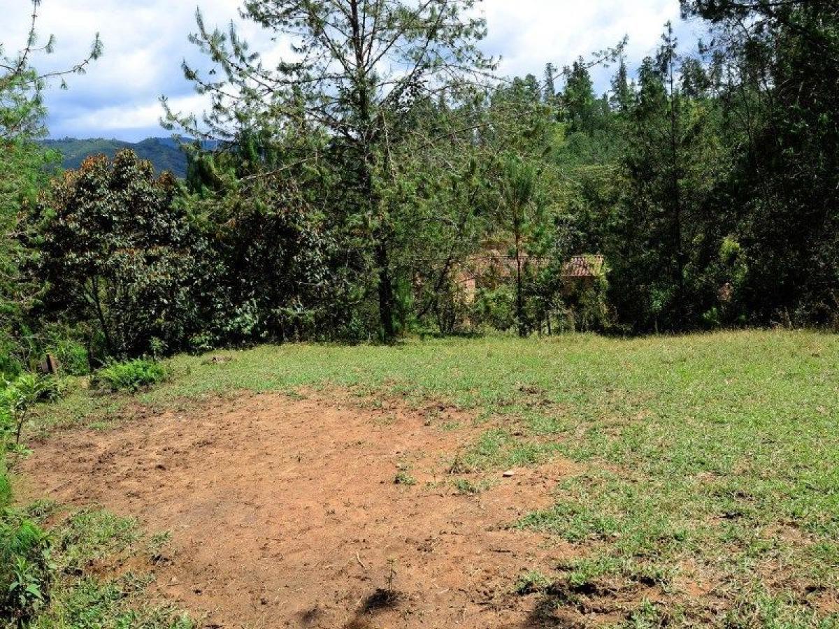 Picture of Residential Land For Sale in Antioquia, Antioquia, Colombia