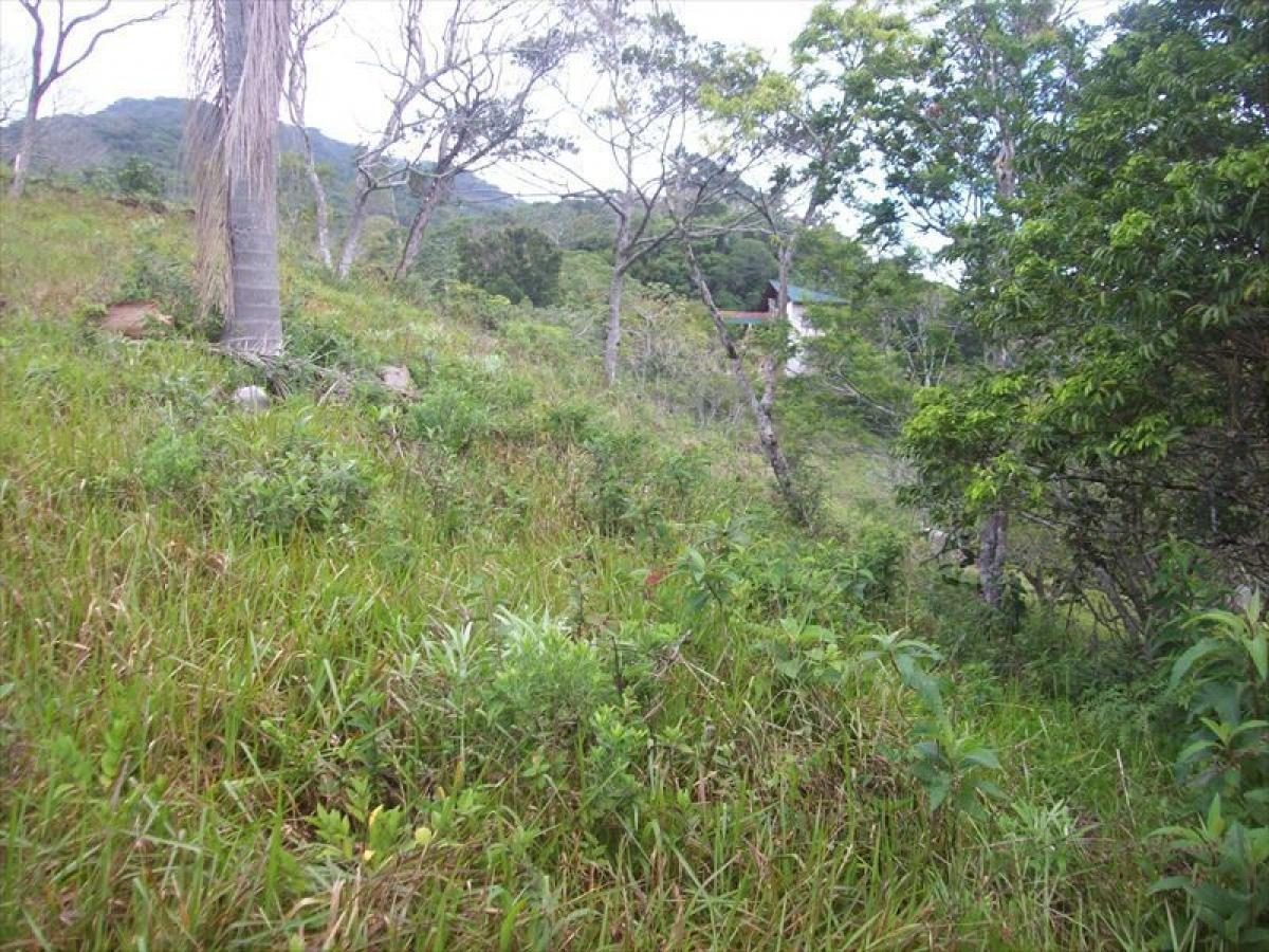 Picture of Residential Land For Sale in Florianopolis, Santa Catarina, Brazil