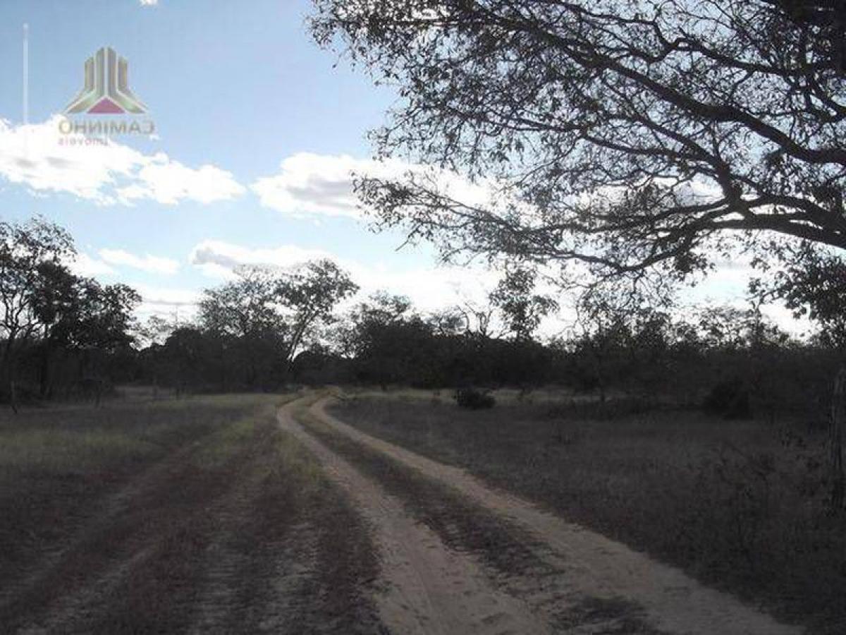 Picture of Farm For Sale in Bahia, Bahia, Brazil