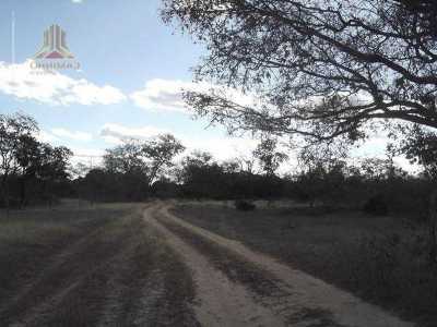 Farm For Sale in Bahia, Brazil