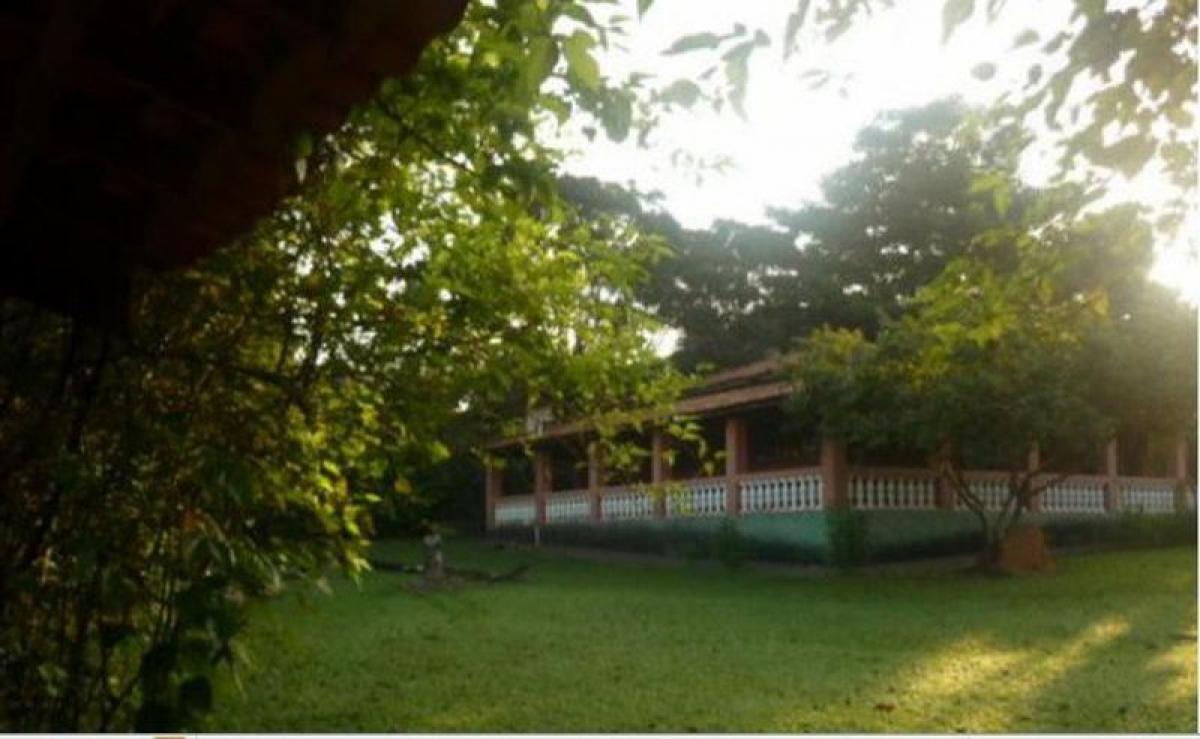 Picture of Farm For Sale in Paulinia, Sao Paulo, Brazil