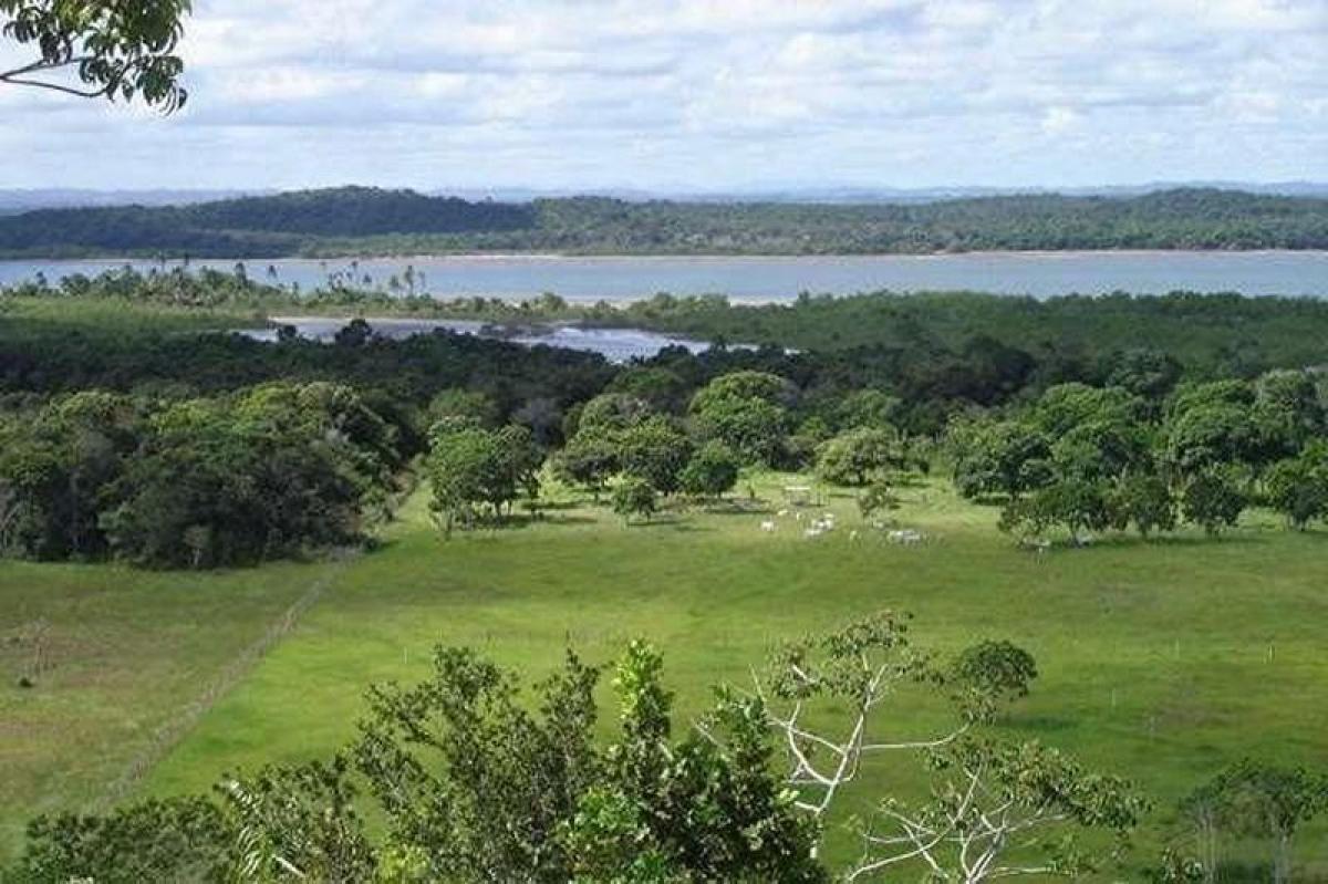 Picture of Residential Land For Sale in Itacare, Bahia, Brazil