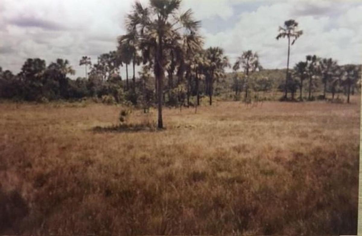 Picture of Farm For Sale in Bahia, Bahia, Brazil