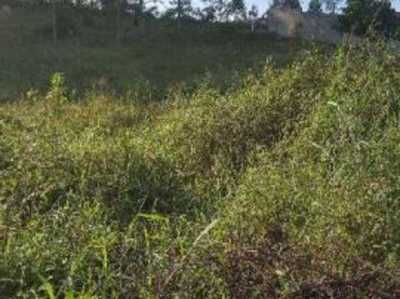 Residential Land For Sale in 