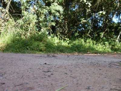 Residential Land For Sale in Itapecerica Da Serra, Brazil