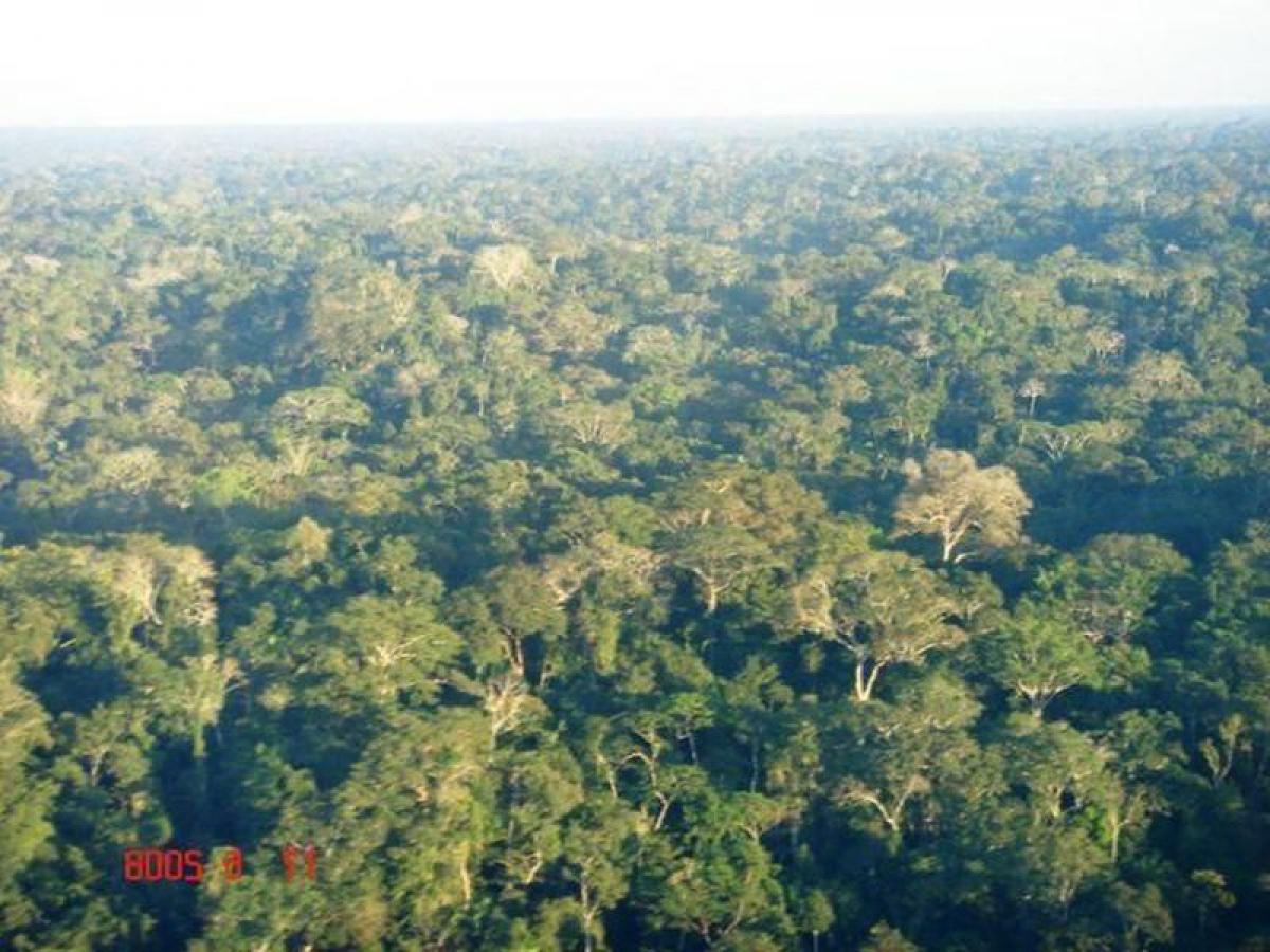 Picture of Farm For Sale in Amazonas, Amazonas, Brazil