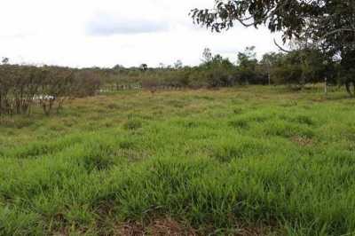 Farm For Sale in Bahia, Brazil