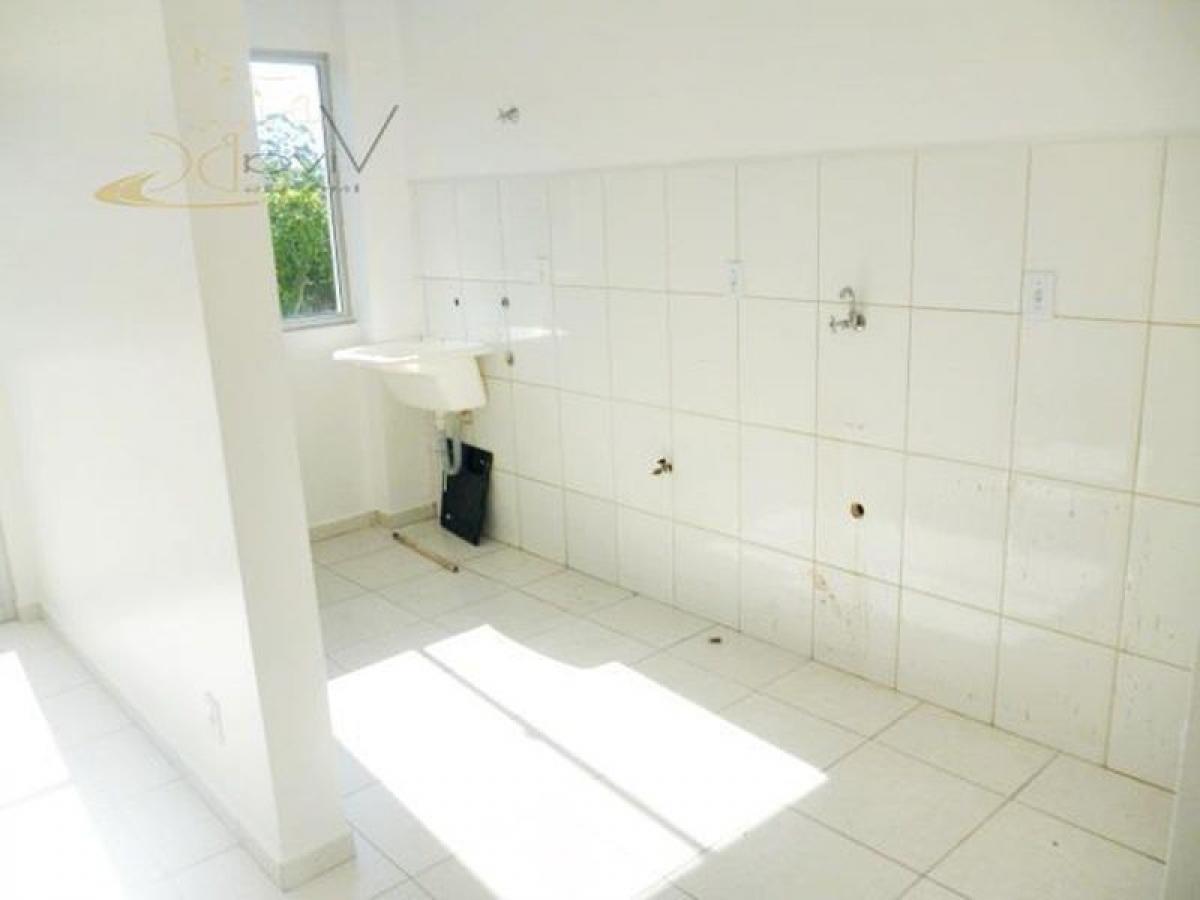 Picture of Apartment For Sale in Itajai, Santa Catarina, Brazil