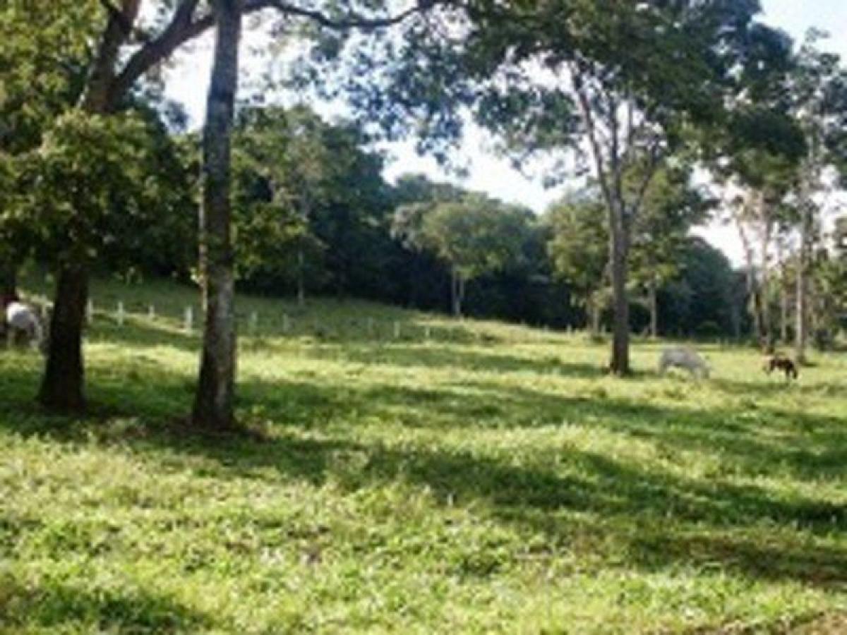 Picture of Residential Land For Sale in Senador Canedo, Goias, Brazil