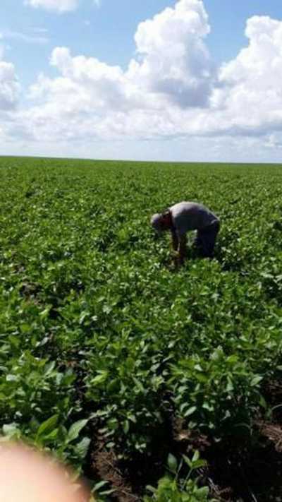 Farm For Sale in Bahia, Brazil