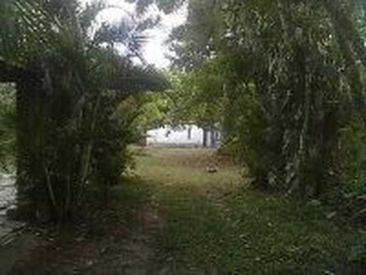 Picture of Farm For Sale in Bahia, Bahia, Brazil