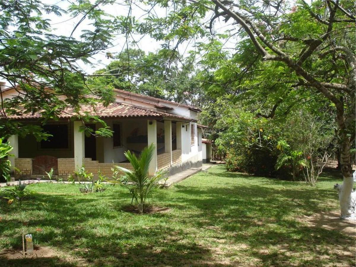 Picture of Farm For Sale in Bahia, Bahia, Brazil