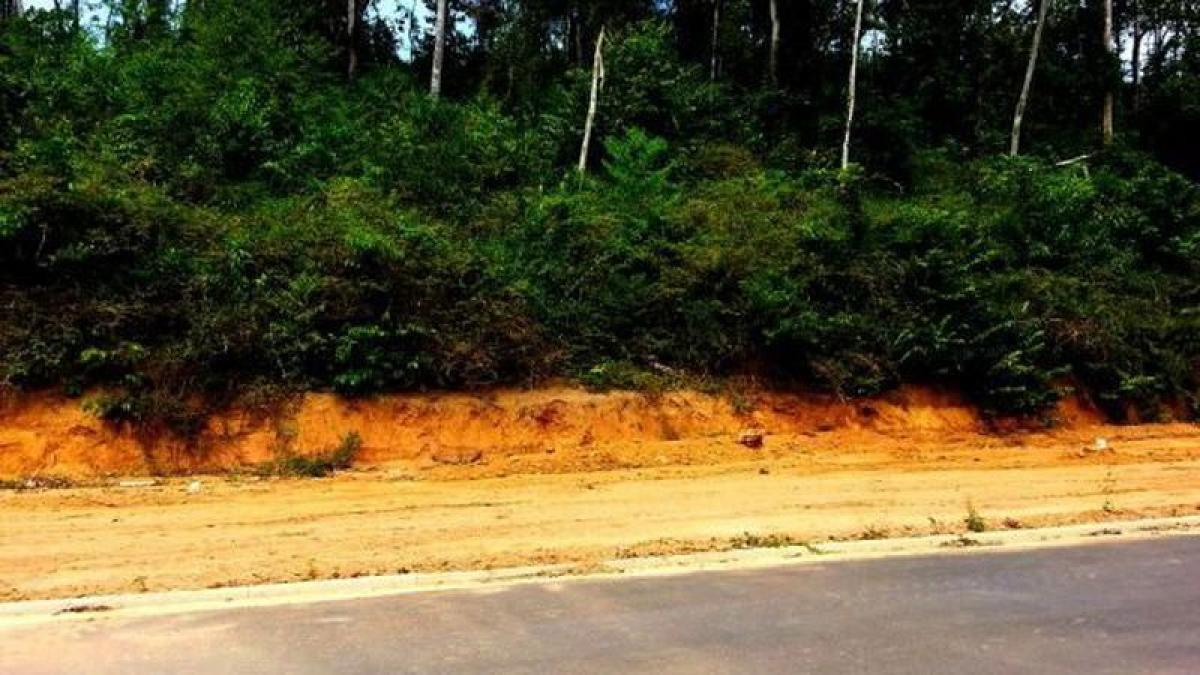 Picture of Residential Land For Sale in Itacare, Bahia, Brazil