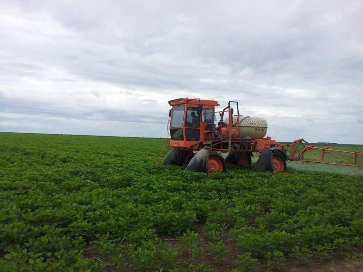 Picture of Farm For Sale in Bahia, Bahia, Brazil