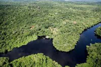 Residential Land For Sale in Amazonas, Brazil