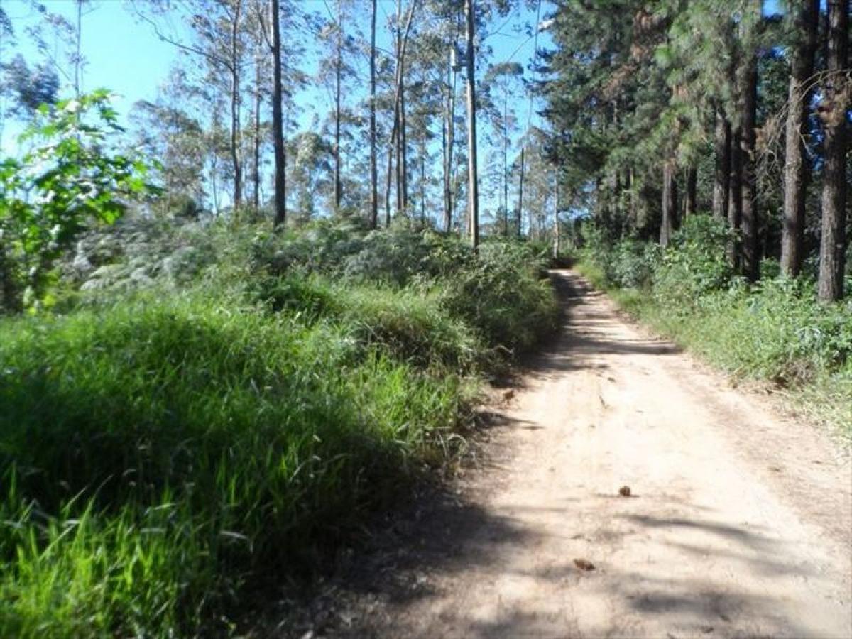 Picture of Residential Land For Sale in Itapecerica Da Serra, Sao Paulo, Brazil