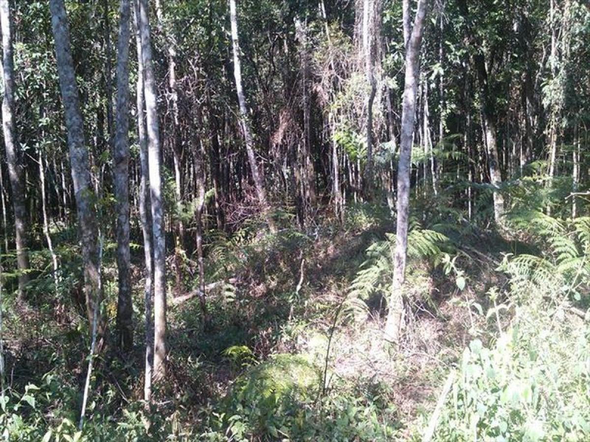 Picture of Residential Land For Sale in Itapecerica Da Serra, Sao Paulo, Brazil