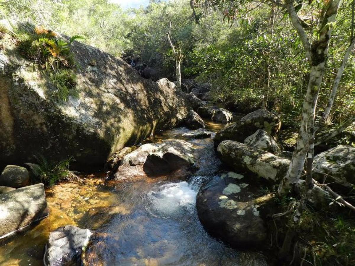 Picture of Farm For Sale in Santa Catarina, Santa Catarina, Brazil