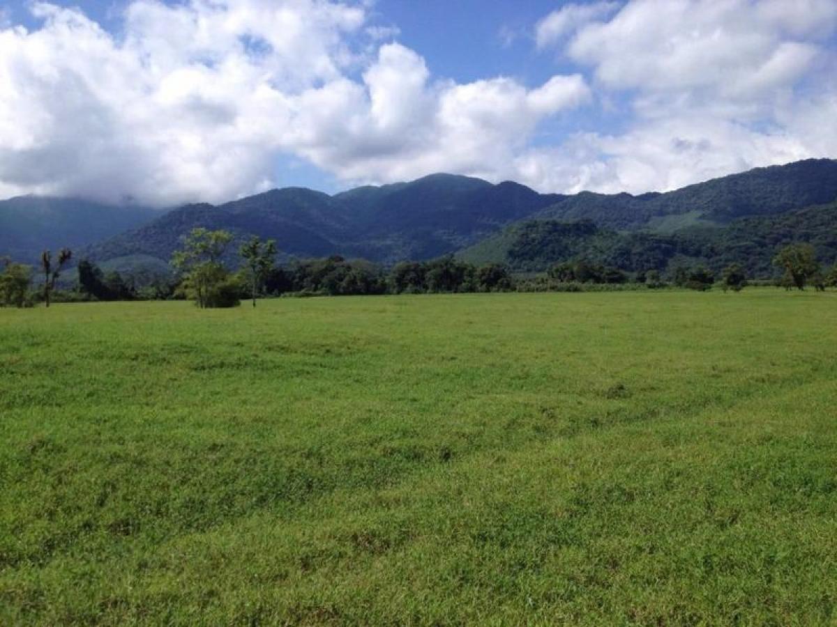 Picture of Farm For Sale in Santa Catarina, Santa Catarina, Brazil