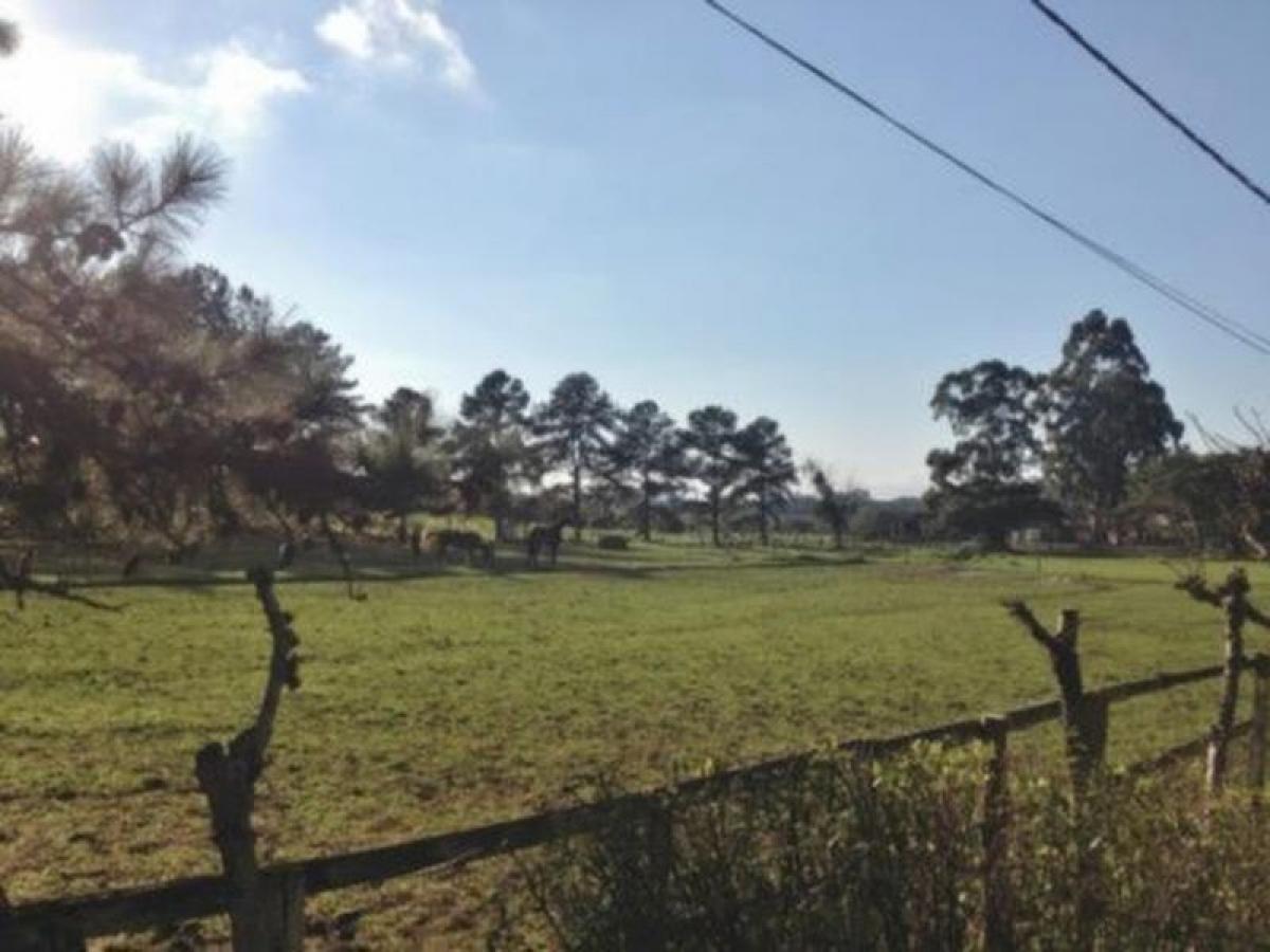 Picture of Farm For Sale in Porto Alegre, Rio Grande do Sul, Brazil