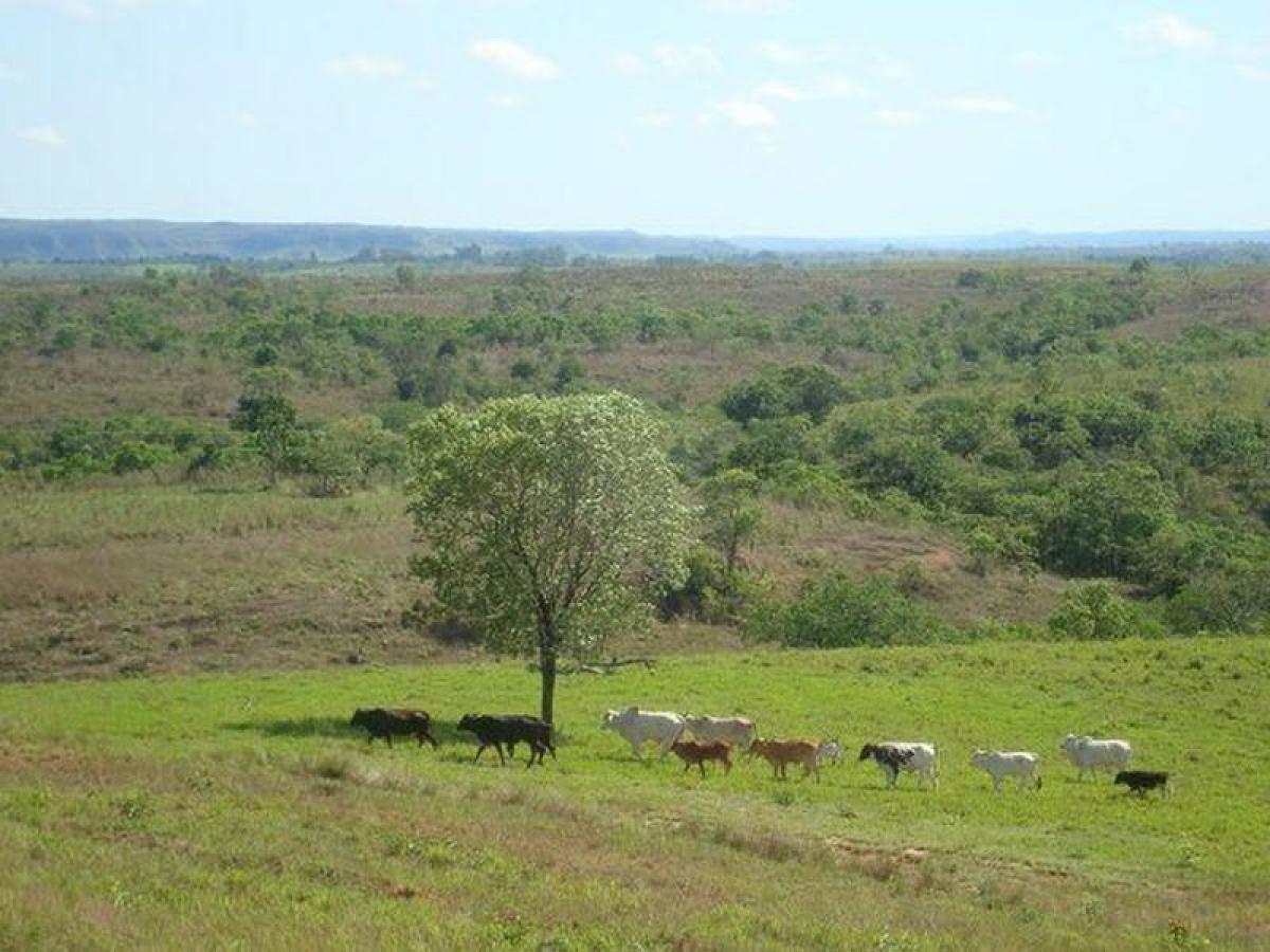 Picture of Farm For Sale in Marica, Rio De Janeiro, Brazil