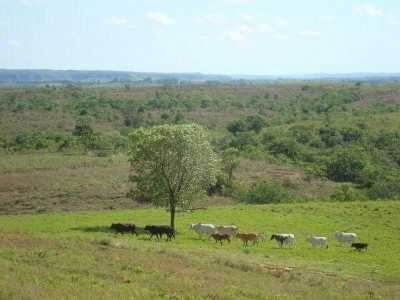 Farm For Sale in Marica, Brazil