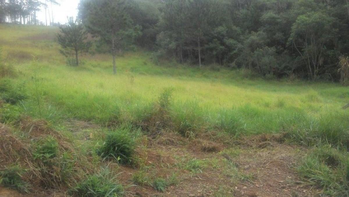 Picture of Residential Land For Sale in Itapecerica Da Serra, Sao Paulo, Brazil