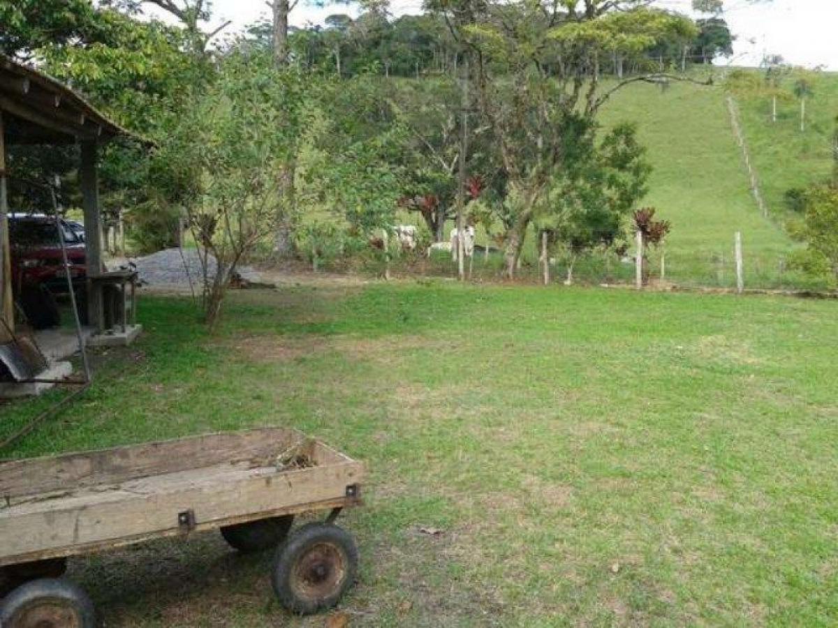 Picture of Farm For Sale in Santa Catarina, Santa Catarina, Brazil