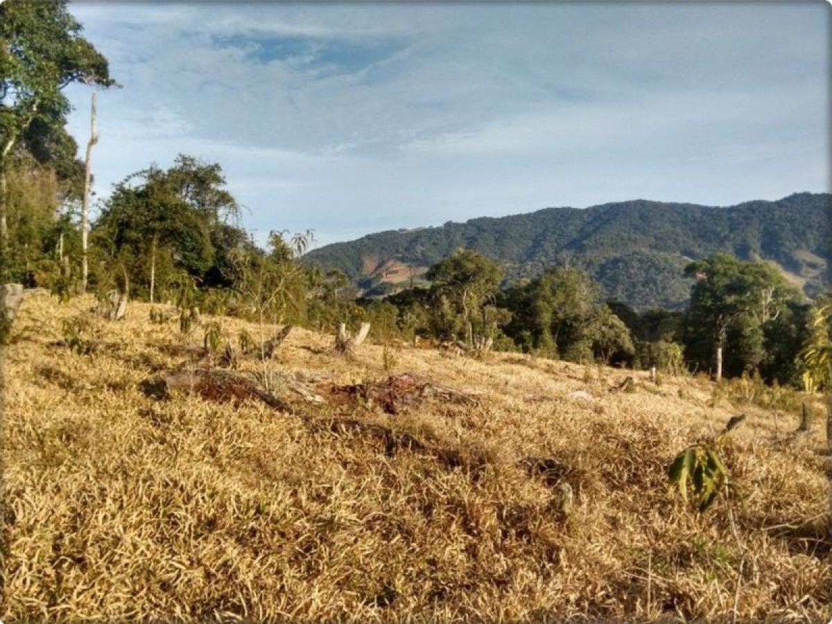 Picture of Farm For Sale in Santa Catarina, Santa Catarina, Brazil