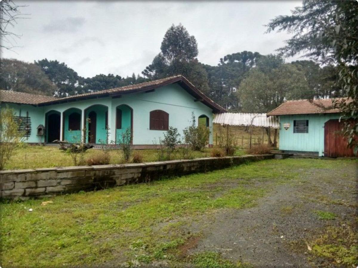 Picture of Farm For Sale in Santa Catarina, Santa Catarina, Brazil