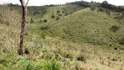 Farm For Sale in Bahia, Brazil