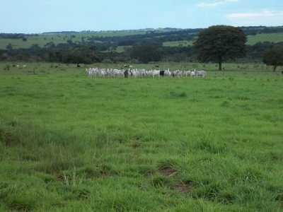 Farm For Sale in Marica, Brazil