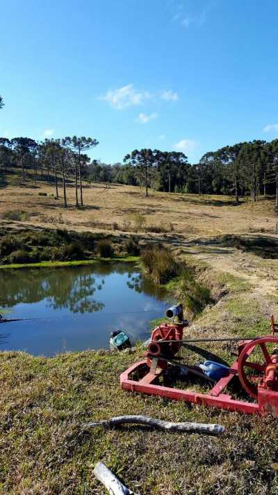 Farm For Sale in Santa Catarina, Brazil