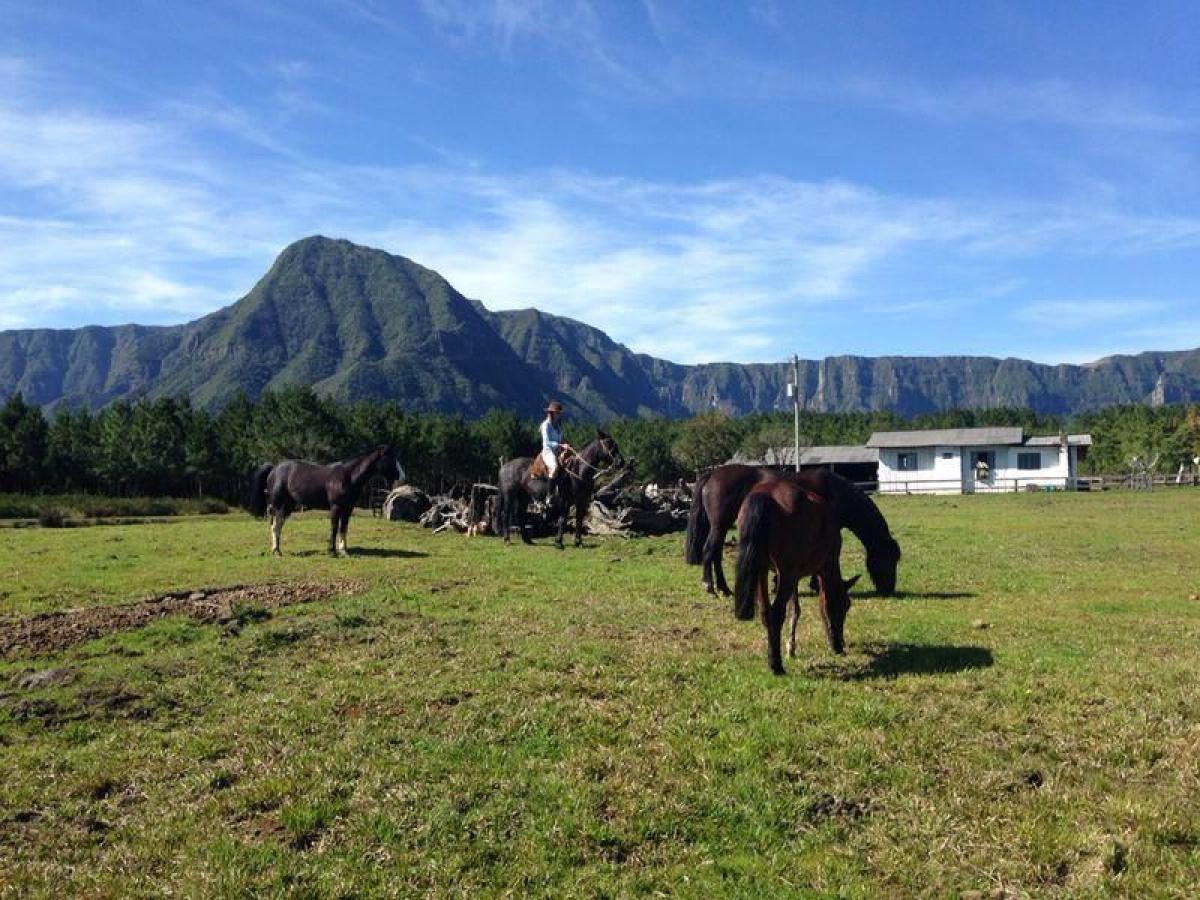 Picture of Farm For Sale in Santa Catarina, Santa Catarina, Brazil