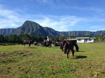 Farm For Sale in Santa Catarina, Brazil