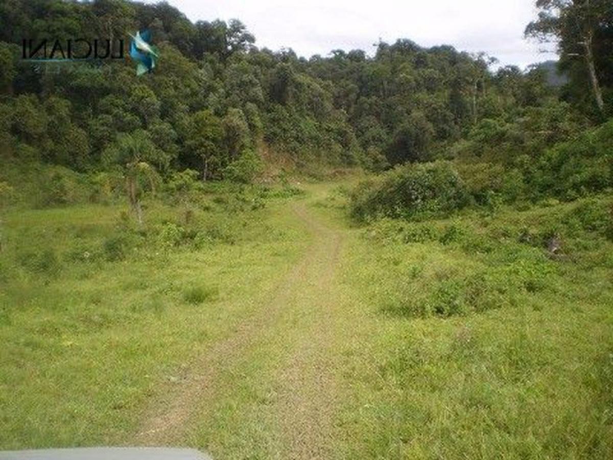 Picture of Farm For Sale in Santa Catarina, Santa Catarina, Brazil