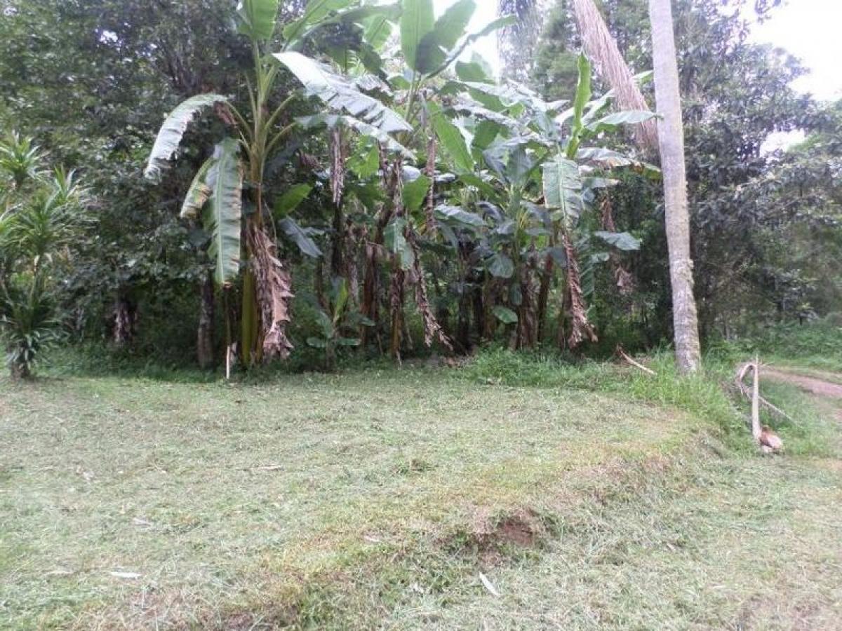 Picture of Residential Land For Sale in Sao Lourenço Da Serra, Sao Paulo, Brazil