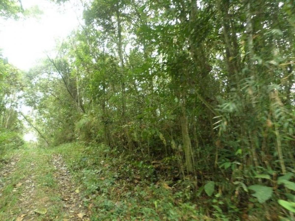 Picture of Residential Land For Sale in Sao Lourenço Da Serra, Sao Paulo, Brazil