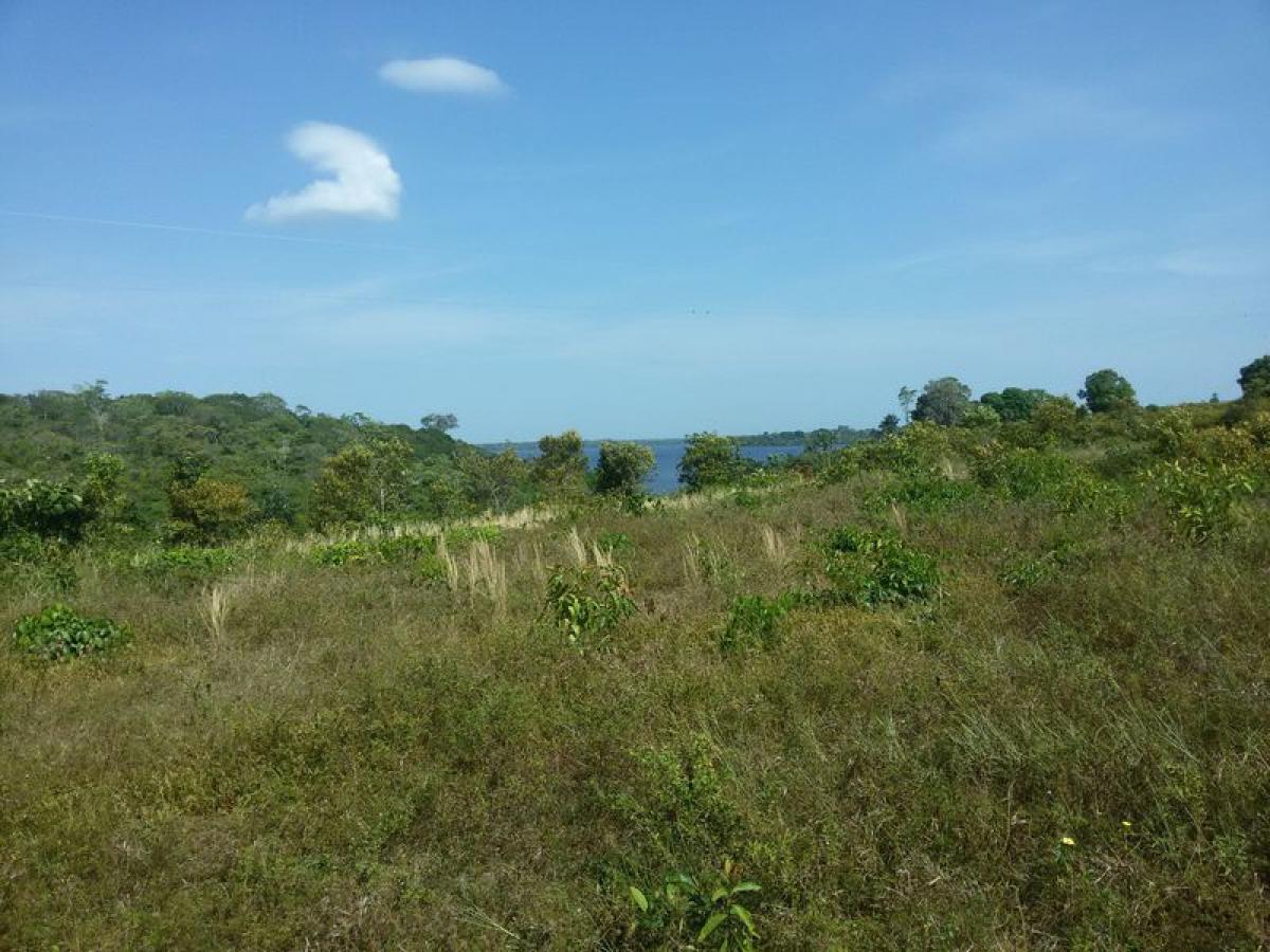 Picture of Residential Land For Sale in Amazonas, Amazonas, Brazil