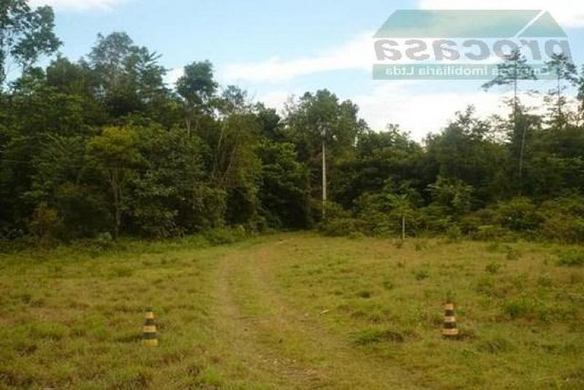 Picture of Residential Land For Sale in Amazonas, Amazonas, Brazil