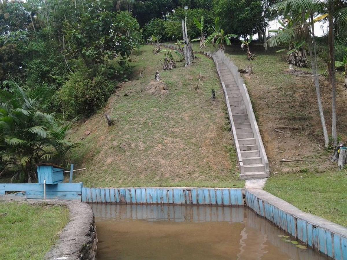 Picture of Farm For Sale in Amazonas, Amazonas, Brazil