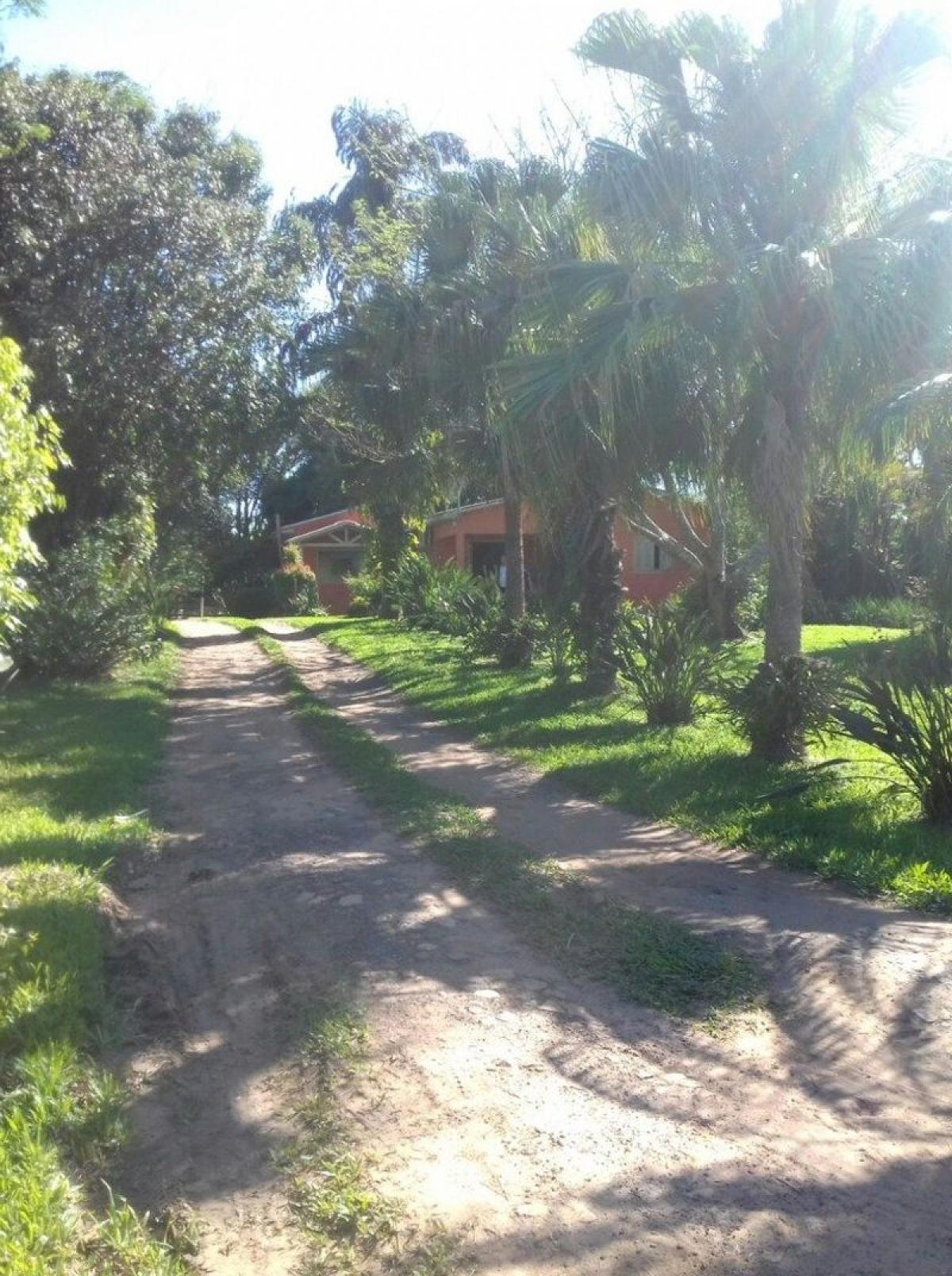 Picture of Farm For Sale in Sao Jerônimo, Rio Grande do Sul, Brazil